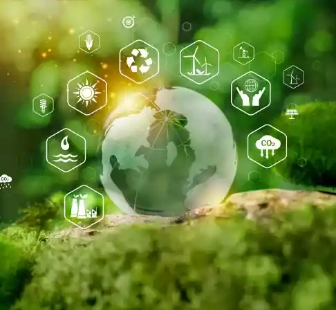 Carbon disclosure project