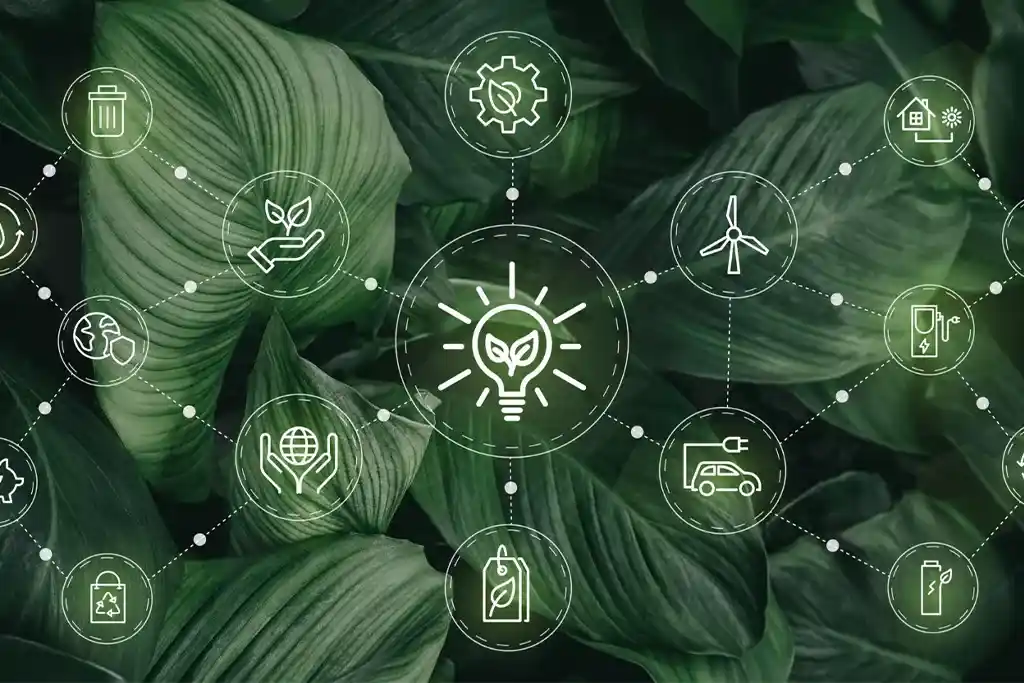 CDP – Carbon Disclosure Project Consulting - Growlity