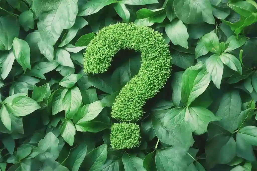 CDP – Carbon Disclosure Project Consulting - Growlity