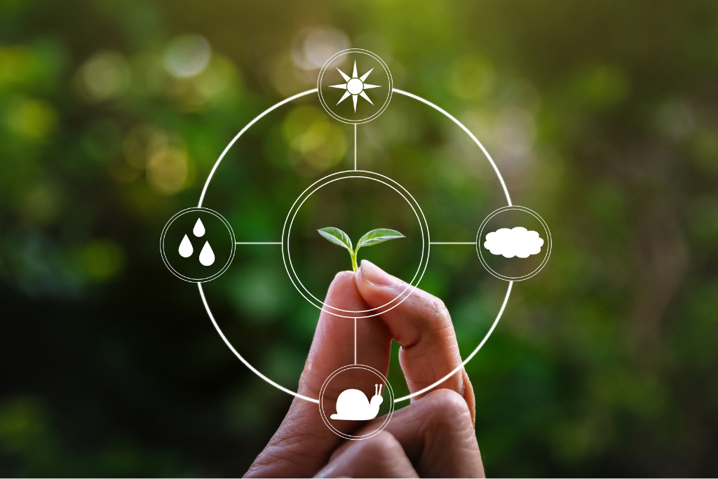 GHG Emissions & Inventory Accounting 151 greenhouse emissions
