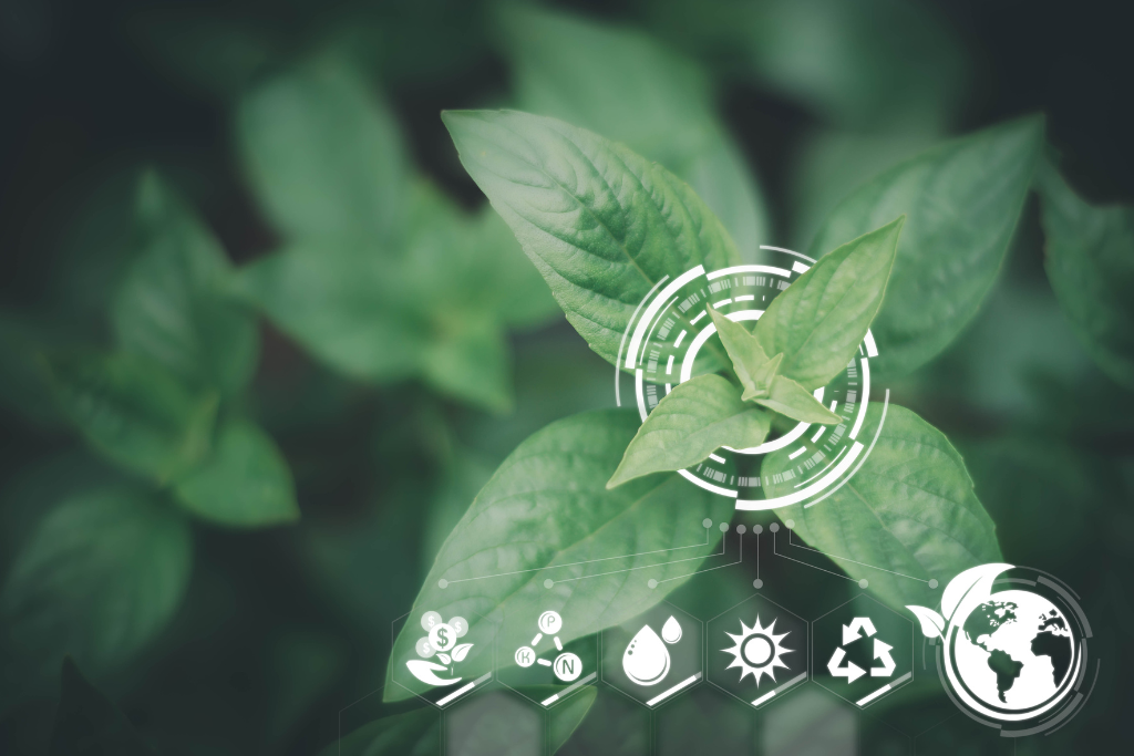 GHG Emissions & Inventory Accounting 153 greenhouse emissions