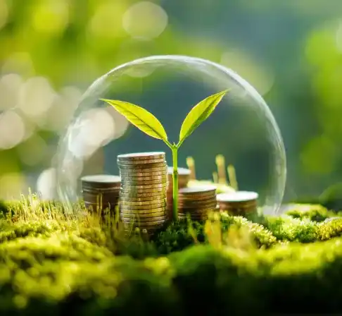 Carbon offset