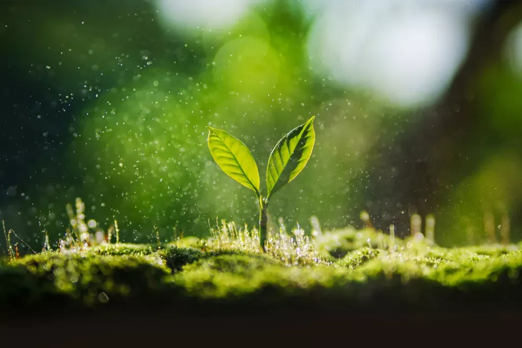 ESG Reporting 157 sustainability reporting