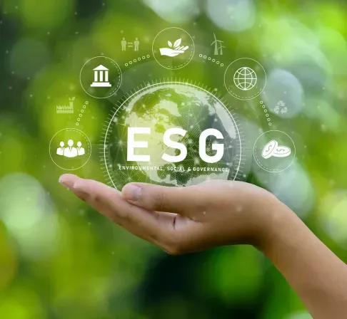 ESG Assessment