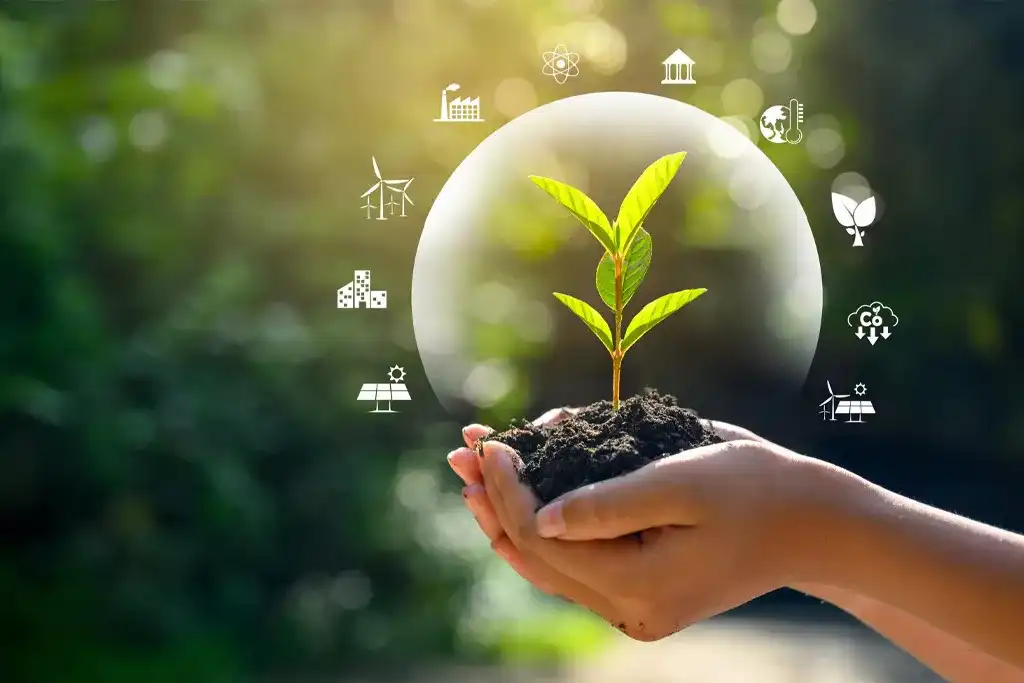Life cycle impact assessment