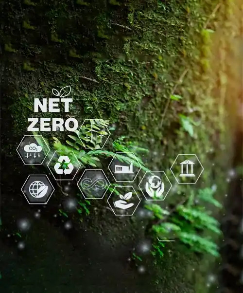 Net Zero