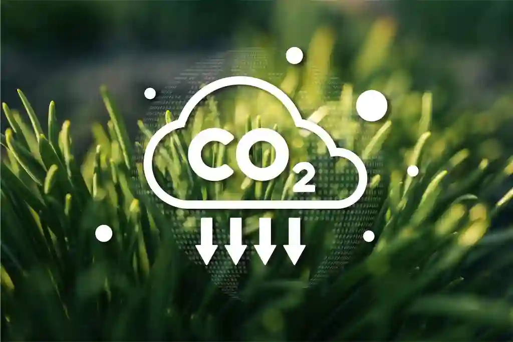 Net zero emissions