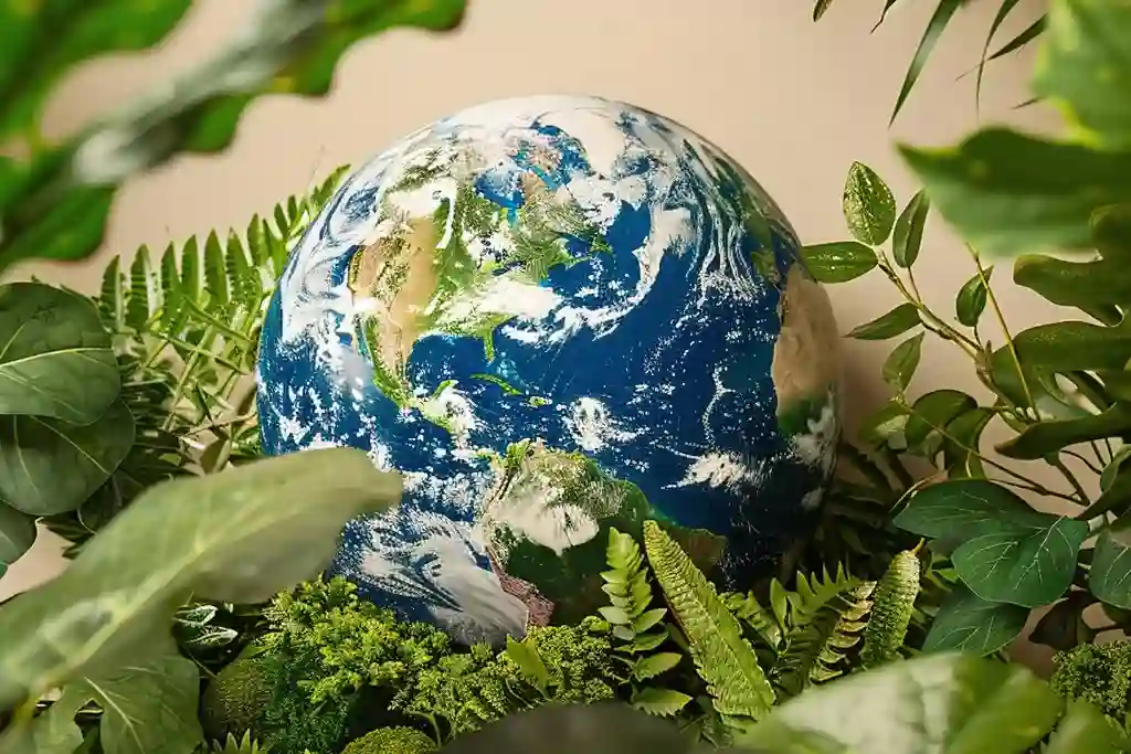 Sustainability development