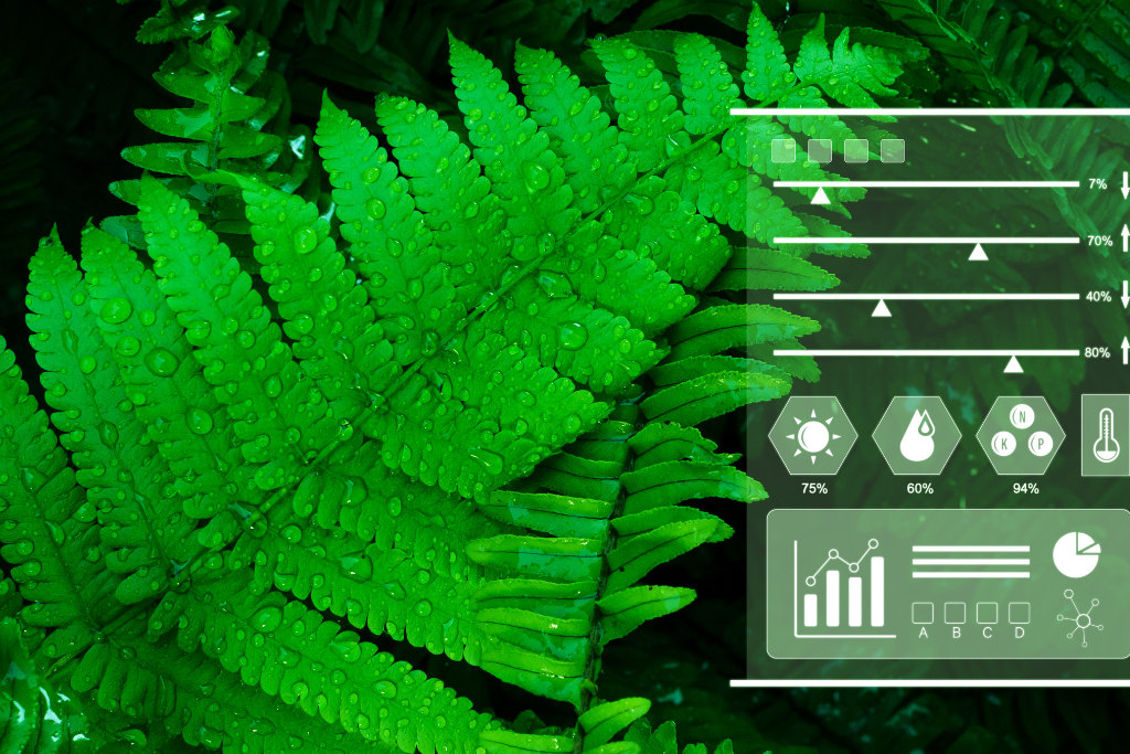 CBAM Reporting & Compliance 155 CBAM regulations