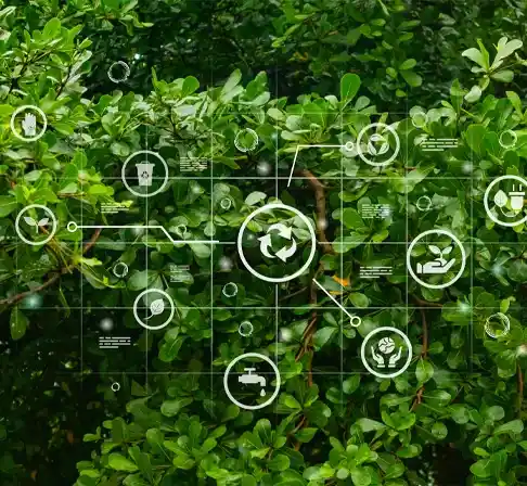 Ecovadis methodology