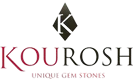 ESG Reporting 100 Kourosh Co. Ltd.