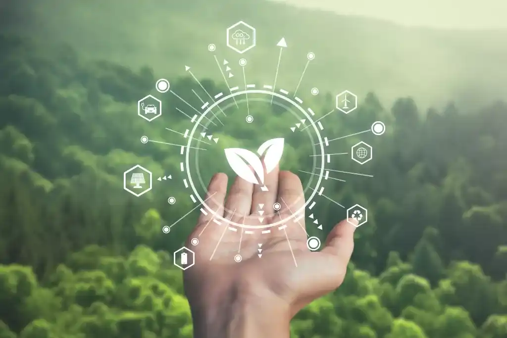 Certified B-corporation