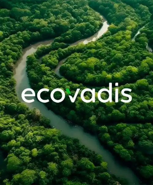 ecovadis score