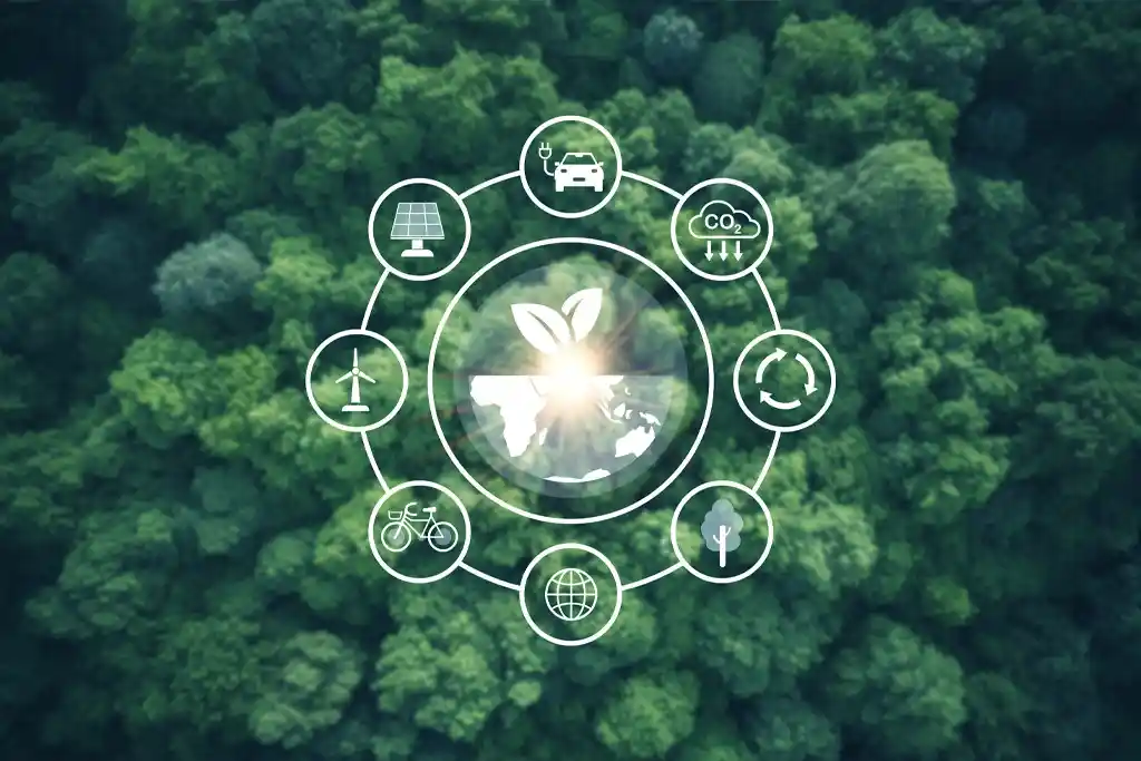 Ecovadis reporting