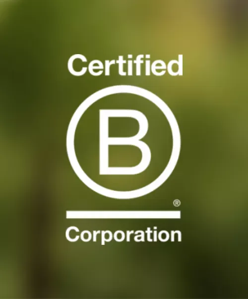 what is a b corp 1