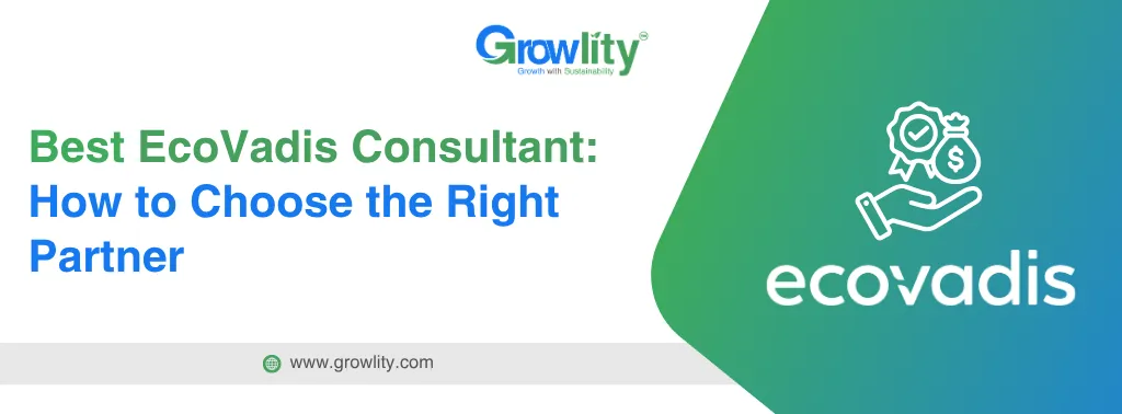 Ecovadis Consultant