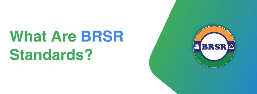 Blogs 18 BRSR Standards